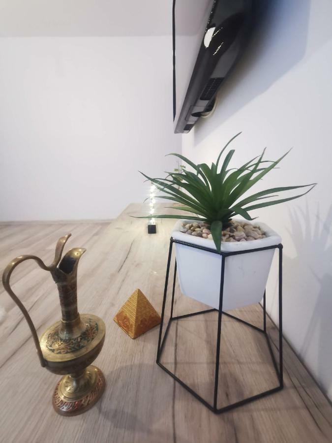 Youth Central Apartment Târgu-Mureş Zewnętrze zdjęcie
